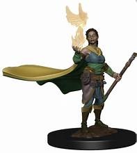 Female Elf Druid (W1)